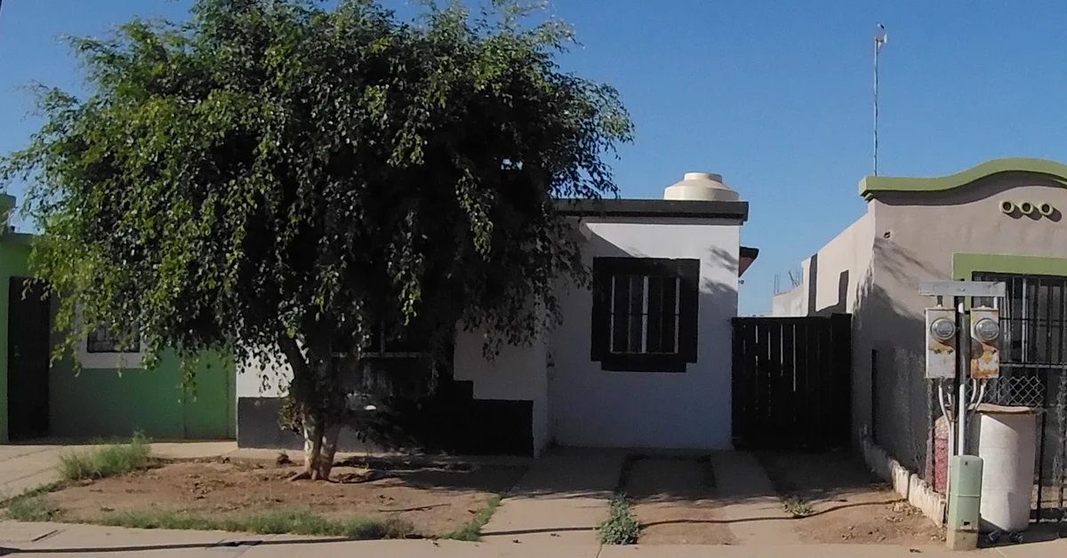 Muestra en imágenes