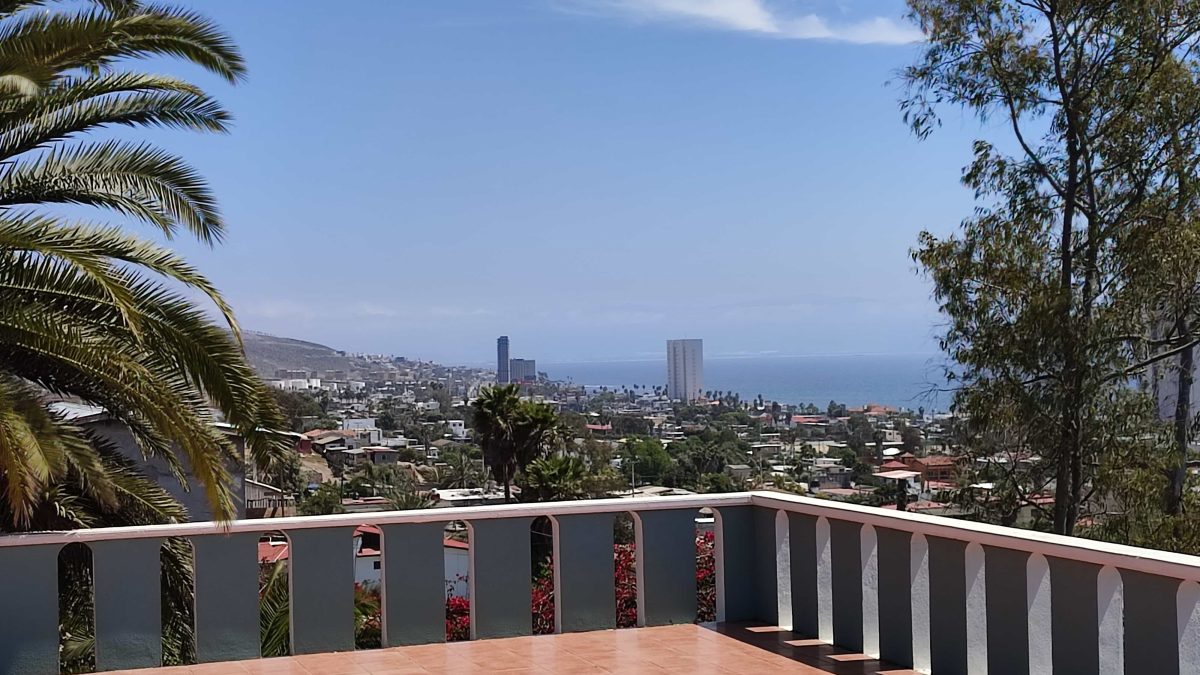 Vistas-Web