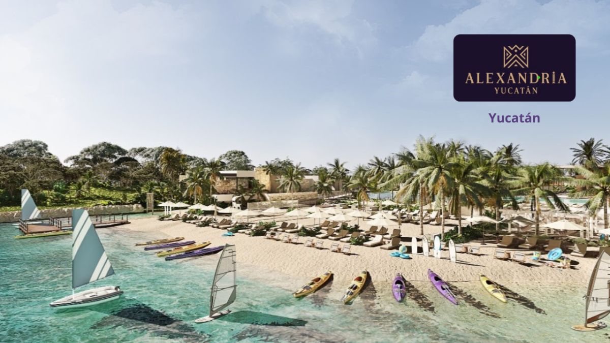 Imagen de Inicial Alexandria